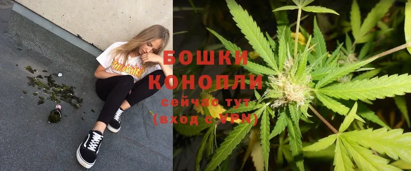 Марихуана White Widow  Курильск 